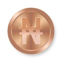 concept de pièce de bronze de naira de monnaie web internet vecteur