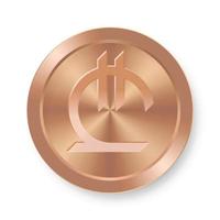 concept de pièce de monnaie lari en bronze de monnaie web internet vecteur