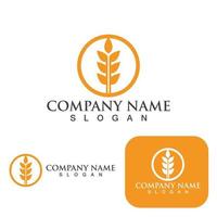 conception de vecteur de logo de blé agricole