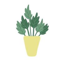 plante d'intérieur verte avec de grandes feuilles dans un pot de fleurs. style plat. illustration vectorielle dessinée à la main isolée sur fond blanc. vecteur