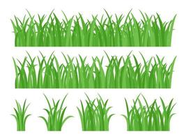 Définir l'herbe d'été vert juteux lumineux vecteur