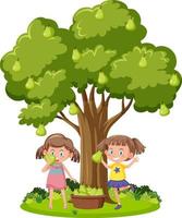 enfants récoltant des poires sur un arbre vecteur