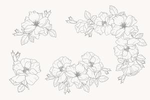 collection d'éléments de bouquet de fleurs roses dessin au trait doodle vecteur