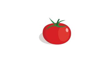 illustration vectorielle de tomate rouge sur fond blanc. vecteur