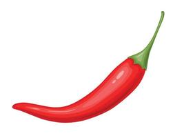 piment chili rouge. cuisine traditionnelle mexicaine. vecteur