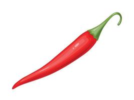 piment chili rouge. cuisine traditionnelle mexicaine. vecteur