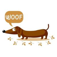 illustration enfantine avec chien teckel mignon et texte anglais woof. concept heureux, fond coloré, impression, vecteur