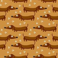 motif harmonieux, chiens teckel mignons et feuilles sur fond marron. concept heureux, arrière-plan coloré, impression, textile vecteur