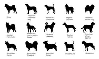 icône de contour de chien. illustration vectorielle pour animaux de compagnie. symbole canin isolé vecteur