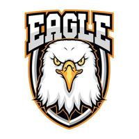 mascotte tête d'aigle pour l'illustration vectorielle du logo sports et esports vecteur