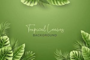 fond d'été avec des feuilles tropicales réalistes vecteur