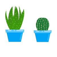 illustration graphique vectorielle d'une fleur de cactus dans un pot bleu. deux types de cactus épineux sur fond blanc. parfait pour les autocollants, la décoration intérieure, les couvertures de livres pour enfants et les conceptions de logos Web. vecteur