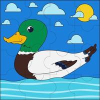 canard colvert nageant adapté à l'illustration vectorielle cpuzzle pour enfants vecteur