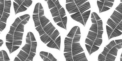 bannière blanche transparente abstract vector avec des feuilles de bananier noir