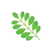 vecteur de conception graphique de feuilles tropicales