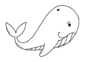 jolie baleine dessinée à la main pour les pages à colorier pour les enfants, les activités préscolaires, les impressions, les cartes, les affiches, etc. eps 10 vecteur