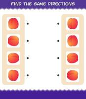 correspondre aux mêmes directions de nectarine. jeu de correspondance. jeu éducatif pour les enfants d'âge préscolaire et les tout-petits vecteur