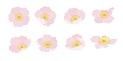 ensemble d'illustration de fleurs épanouies rose sauvage rose. vecteur