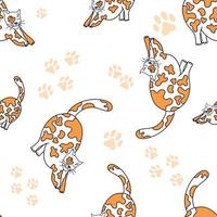 motif vectoriel sans fin harmonieux, chat qui s'étend dans des taches orange, sur fond blanc.