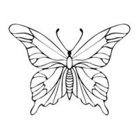 contour de papillon dessin à la main doodle vecteur