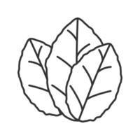 icône linéaire de feuilles de tabac. illustration de la ligne mince. menthe. symbole de contour. dessin de contour isolé de vecteur