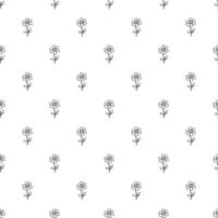 modèle vectoriel floral sans soudure. vecteur de doodle avec ornement floral sur fond blanc. décor floral vintage, fond d'éléments doux pour votre projet, menu, boutique de café