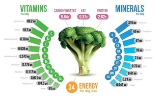 diagramme d'infographie sur les nutriments du brocoli vecteur