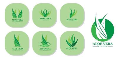 plante verte aloe vera logo vecteur icône symbole de nombreux avantages