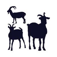 ensemble de silhouette de chèvre sur fond blanc vecteur