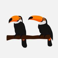 un couple de toucans assis sur une branche. vecteur