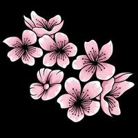 illustration vectorielle de fleur de sakura isolée sur fond sombre vecteur
