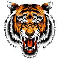 illustration vectorielle de visage de tigre en colère