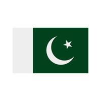 icône multicolore plat pakistan vecteur