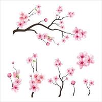 branche arbre vector illustration été clipart automne clipart nature forêt, fond fleur de cerisier fleur de printemps japon, branche de sakura en fleurs avec des fleurs, fleur de cerisier