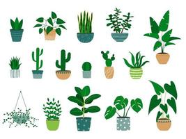 ensemble de plantes d'intérieur dessinées à la main dans des pots de fleurs. plante alocasia, cactus, monstera, plante de jade, aloès vecteur