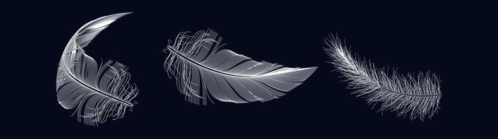 vecteur d'icône de plume d'oiseau