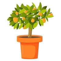 abricotier fruitier dans un pot. illustration vectorielle réaliste.isolé sur un fond blanc.plantes en croissance. fruits mûrs d'abricot. vecteur