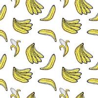 motif de banane sans soudure, doodle dessiné à la main dans le style de croquis. bananes ouvertes et non fermées. végétalien. éco. adapté à la décoration textile, aux emballages alimentaires et aux menus vecteur