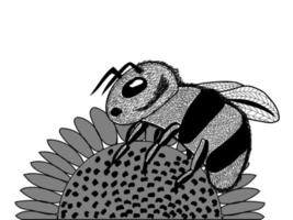 abeille sur fleur illustration monochrome vecteur