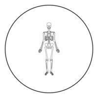 squelette humain icône en cercle rond couleur noire illustration vectorielle image contour ligne style fin vecteur