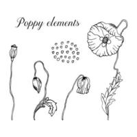 fleurs de pavot dessinées à la main en contour noir sur fond blanc. illustration botanique du pavot et de ses éléments. illustration vectorielle dans un style doodle.