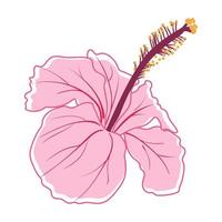 fleur d'hibiscus tropical plante exotique décorative vecteur