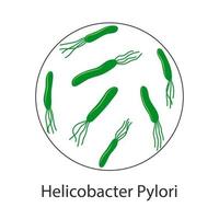 Helicobacter pylori. maladies de l'estomac. une bactérie à flagelles. illustration vectorielle en style cartoon vecteur