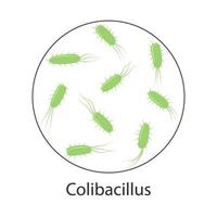 bactérie escherichia coli empoisonnement du sang. illustration vectorielle vecteur