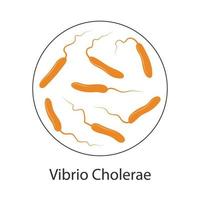 bactérie vibrio cholerae, illustration de dessin animé. une bactérie qui cause la maladie du choléra et se transmet par l'eau contaminée. vecteur