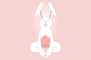 yoga avec lapin baddha konasana pose d'angle lié vecteur