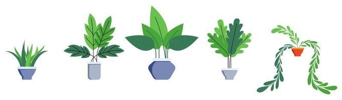 plantes de maison et de bureau serties de différents ensembles d'arbres de plantes mignons isolés vecteur