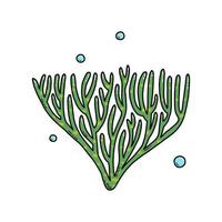 algues de mer de dessin animé mignon doodle. illustration vectorielle. vecteur