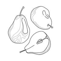 illustration de croquis avec trois poires illustration vectorielle d'art en ligne isolée sur fond blanc. dessin minimaliste. aliments biologiques naturels. fruit abstrait. dessert sain. icône de ligne tendance, élément de conception vecteur