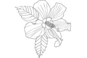 fleur d'hibiscus avec des feuilles, peinte en noir et blanc, conçue pour les cartes postales et autres vecteur